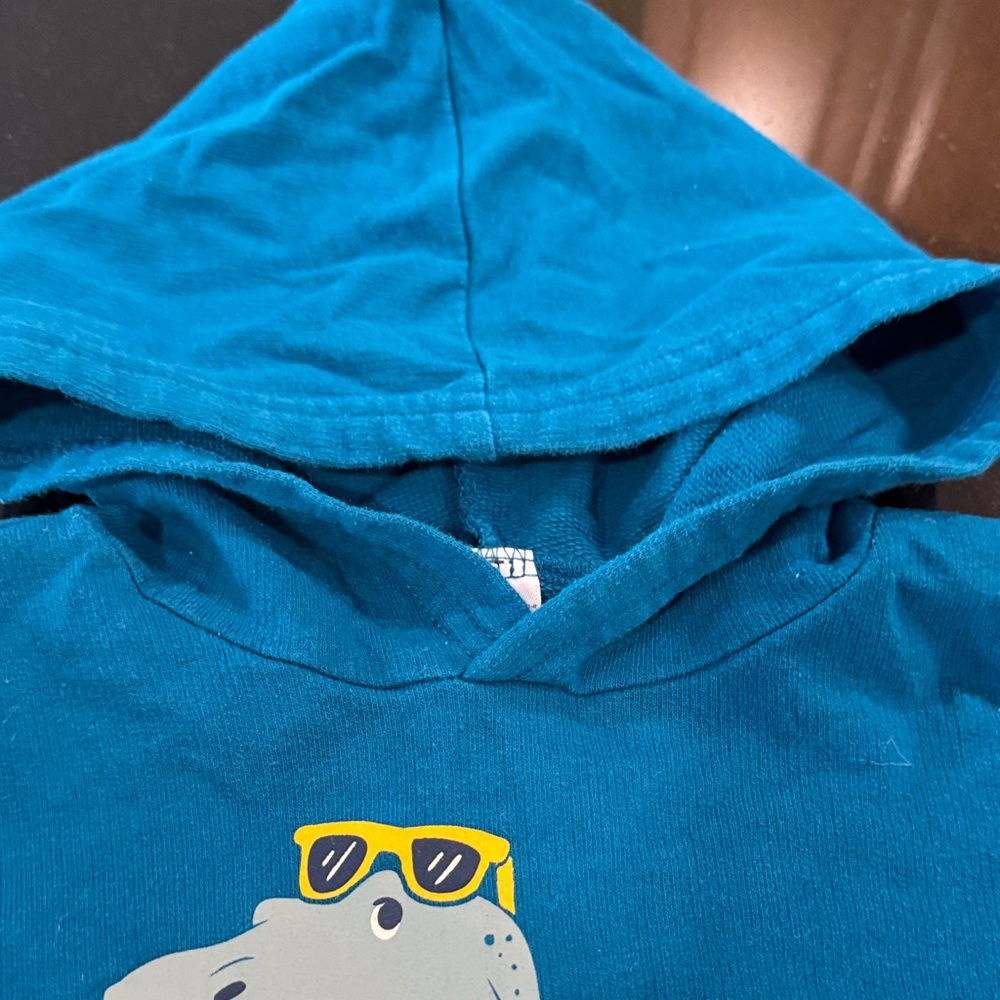 Carters Coolest Brother Blue Dinosaur Hoodie - Picture 4 of 6